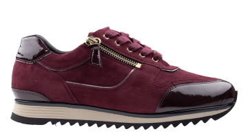 Hassia 30-2032 Bordeaux suède combi Sneaker