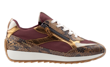 Piedi Nudi Hera H multi color bordeaux bruin Sneaker