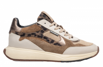 Floris van bommel Suvi 03.04 Taupe Sneaker