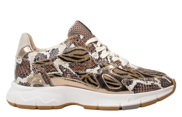 Floris van Bommel Daysi 07.00 Brown Sneaker