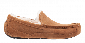 UGG Ascot Chestnut cognac Hausschuhe