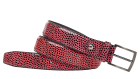 Floris van Bommel De Belter 53.02 Red riem