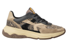 Floris van Bommel Holli 01.00 Taupe Sneaker